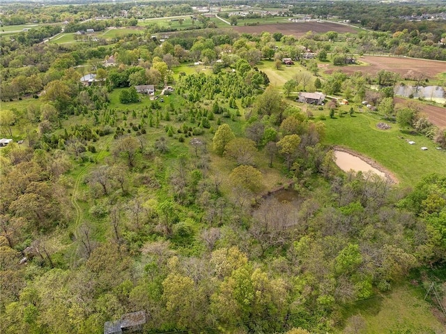 drone / aerial view