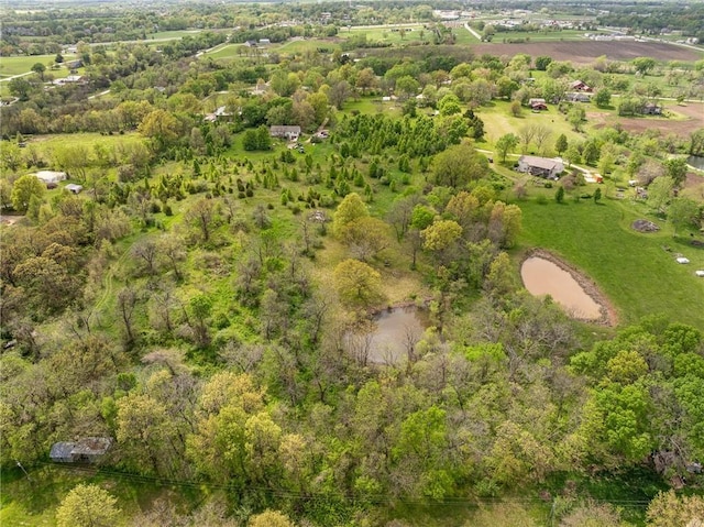 drone / aerial view