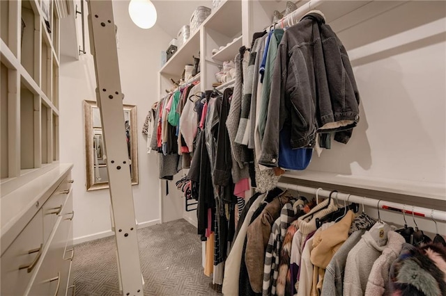 10318 Sagamore Rd, Leawood, KS 66206 - spacious closet featuring carpet floors