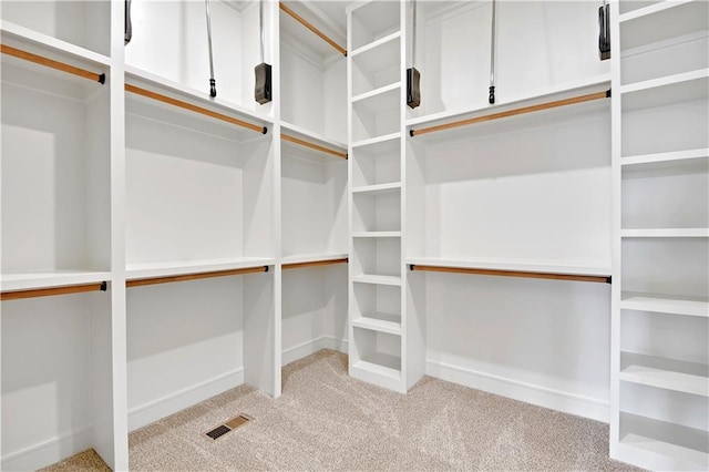 24936 W 98th Pl, Lenexa, KS 66227 - walk in closet with carpet floors