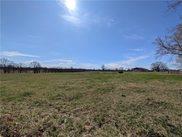view of yard featuring a rural view