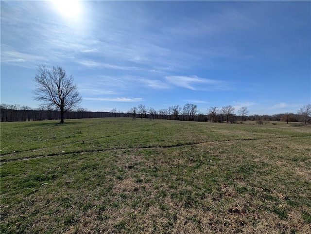 view of yard featuring a rural view
