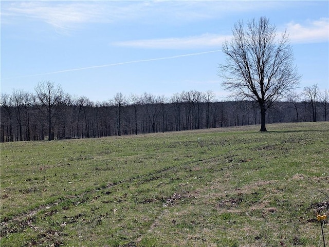 view of yard featuring a wooded view