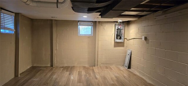 basement featuring wood finished floors