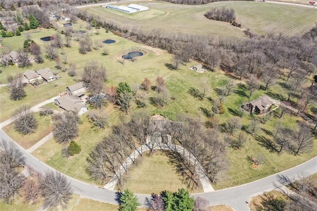 9701 Timber Meadows Dr, Lees Summit, MO 64086 - aerial view of property and surrounding area