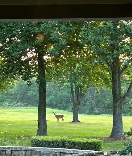 9701 Timber Meadows Dr, Lees Summit, MO 64086 - view of home's community featuring a lawn