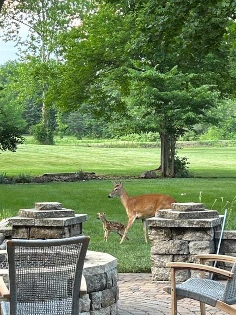 9701 Timber Meadows Dr, Lees Summit, MO 64086 - view of grassy yard