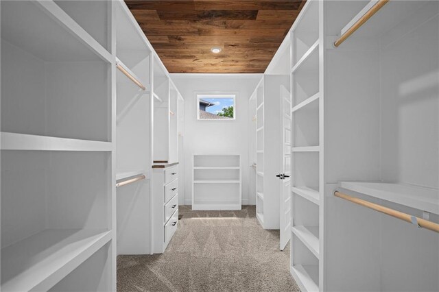 9238 Marion St, Lenexa, KS 66220 - spacious closet with carpet floors