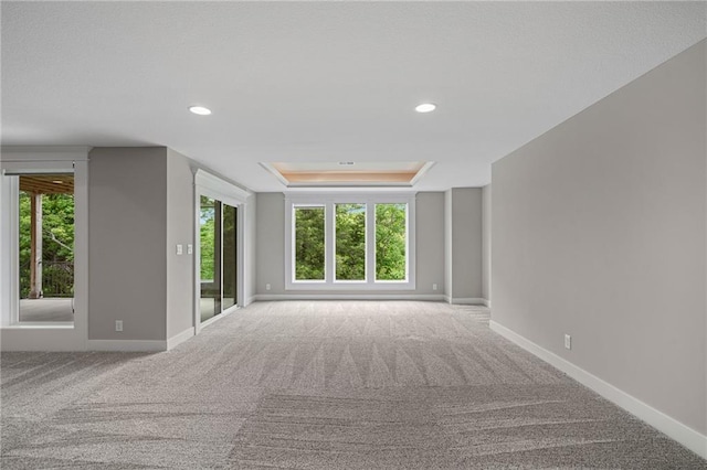 9238 Marion St, Lenexa, KS 66220 - unfurnished room with carpet, healthy amount of natural light, a tray ceiling, and recessed lighting