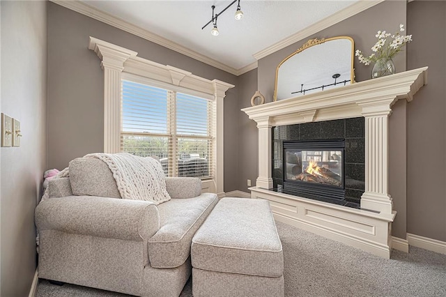 15511 Salem Rd, Excelsior Springs, MO 64024 - living area featuring carpet, baseboards, ornamental molding, a tile fireplace, and rail lighting