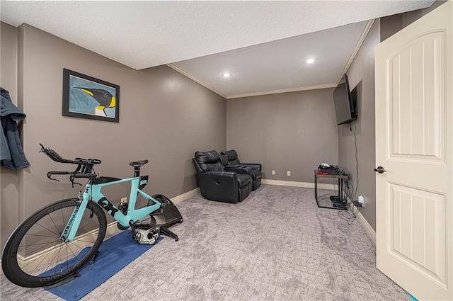 15511 Salem Rd, Excelsior Springs, MO 64024 - exercise room with baseboards, carpet, crown molding, recessed lighting, and a textured ceiling