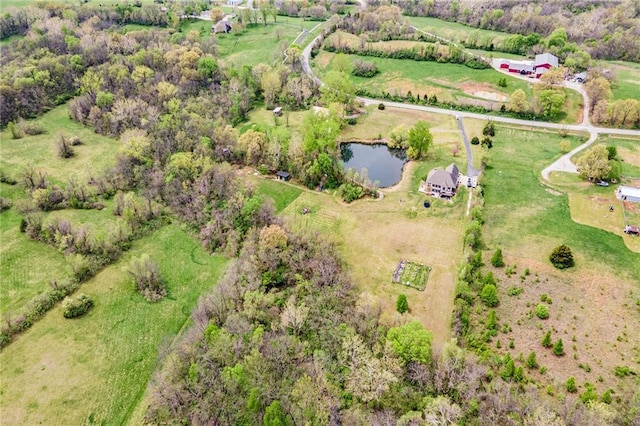 15511 Salem Rd, Excelsior Springs, MO 64024 - aerial overview of property's location with rural landscape and a nearby body of water