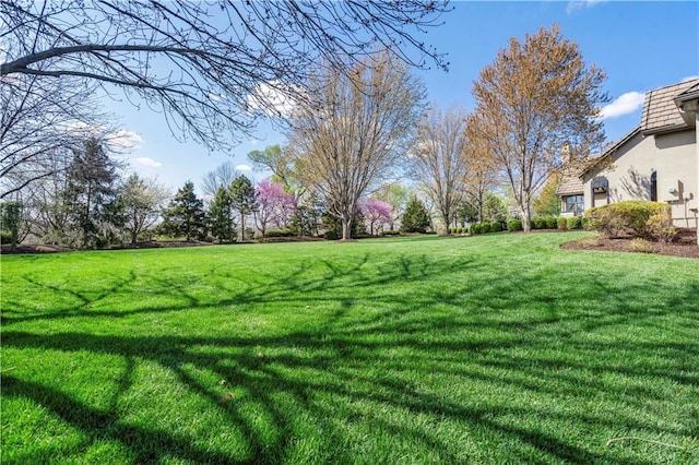 10408 Howe Ln, Leawood, KS 66206 - view of yard