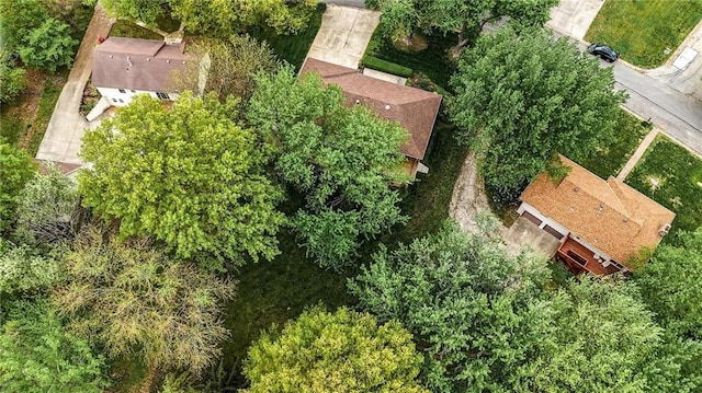 bird's eye view