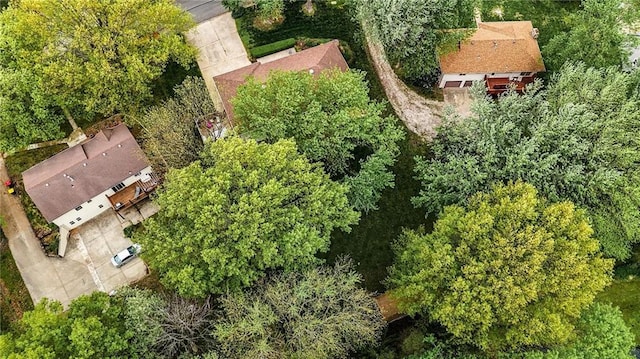 bird's eye view