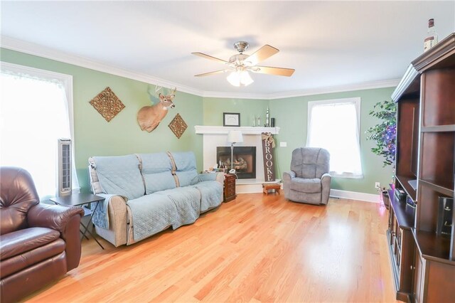 4373 Hackberry Ln, Bates City, MO 64011 - living area with a ceiling fan, crown molding, light wood-style floors, a fireplace with raised hearth, and baseboards