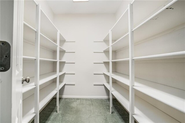 22804 E 28th Terrace Ct, Blue Springs, MO 64015 - view of storage area