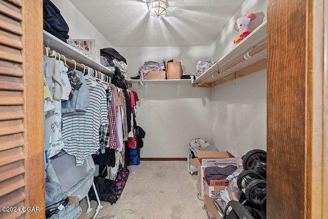 104 W Highland Ave, Nevada, MO 64772 - walk in closet with carpet