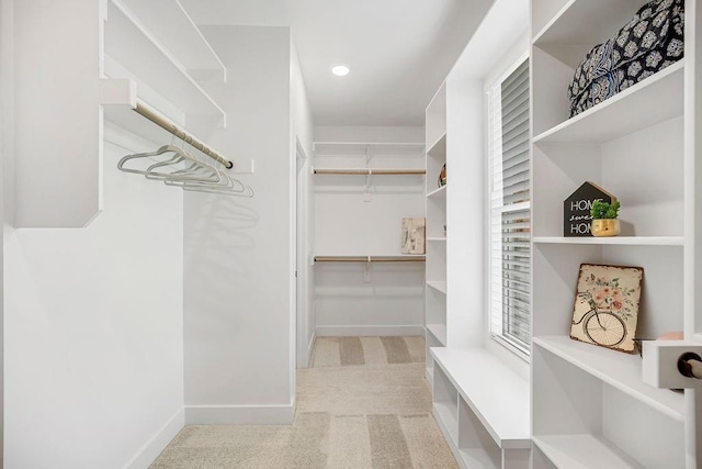 13021 W 174th Pl, Overland Park, KS 66221 - walk in closet with light carpet