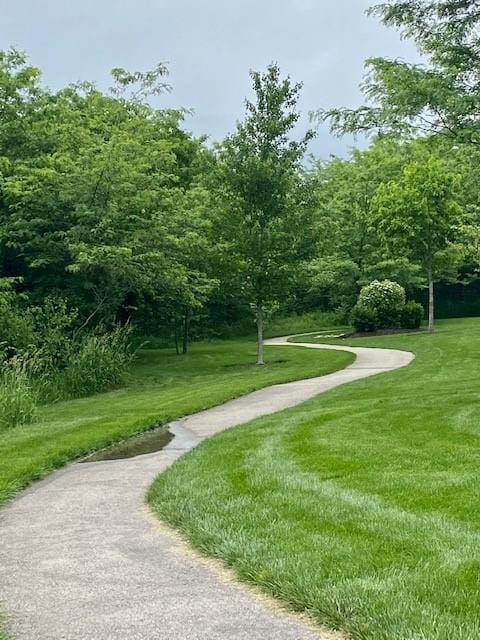 13021 W 174th Pl, Overland Park, KS 66221 - view of property's community featuring a lawn