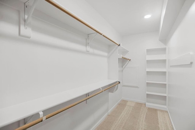 13021 W 174th Pl, Overland Park, KS 66221 - spacious closet featuring light carpet