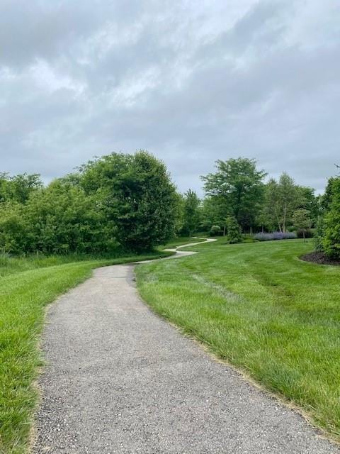 13021 W 174th Pl, Overland Park, KS 66221 - view of street with a view of trees