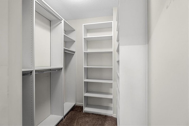 spacious closet featuring dark colored carpet