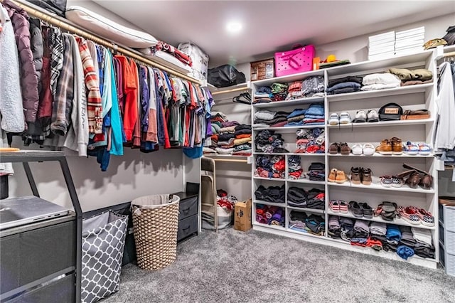 spacious closet with carpet flooring