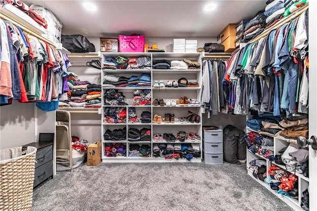 walk in closet featuring carpet floors