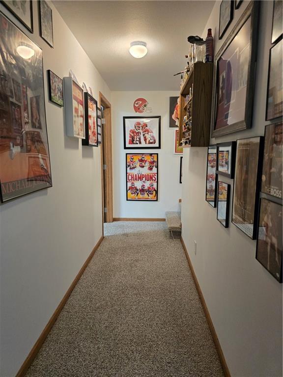 27349 242nd St, Maryville, MO 64468 - photo 22