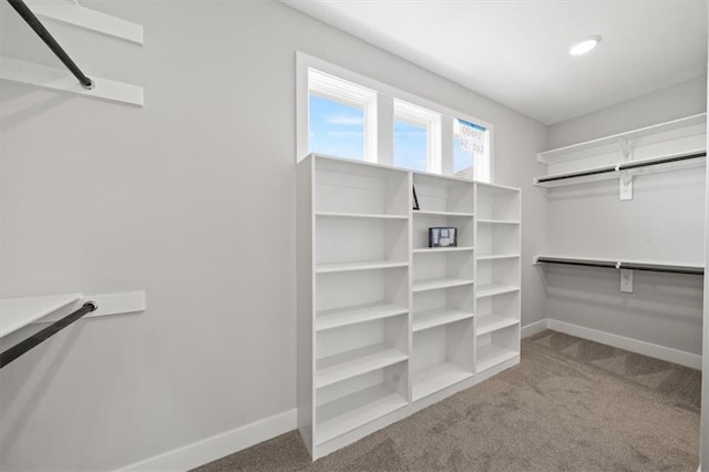 4275 Lake Shore Ct, Basehor, KS 66007 - spacious closet with carpet floors