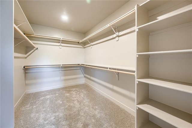 907 Reed Dr, Raymore, MO 64083 - walk in closet with carpet flooring
