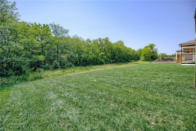 907 Reed Dr, Raymore, MO 64083 - view of grassy yard