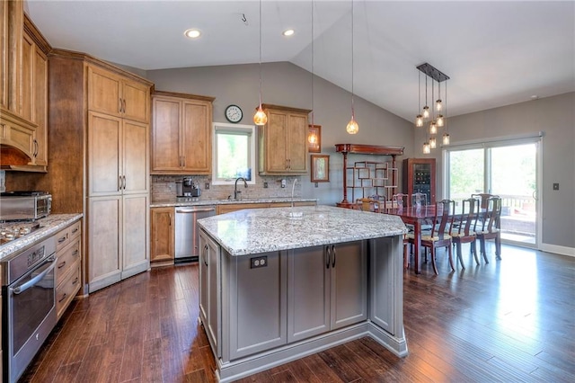 11237 S Race St, Olathe, KS 66061 - kitchen featuring appliances with stainless steel finishes, vaulted ceiling, plenty of natural light, dark wood finished floors, and recessed lighting
