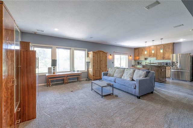 11237 S Race St, Olathe, KS 66061 - carpeted living room featuring a textured ceiling and a sink