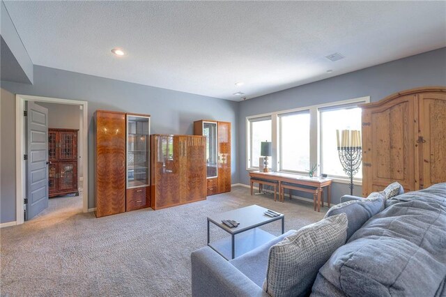 11237 S Race St, Olathe, KS 66061 - living room featuring light colored carpet, a textured ceiling, and recessed lighting