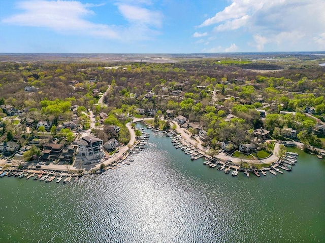 drone / aerial view of a marina and a large body of water