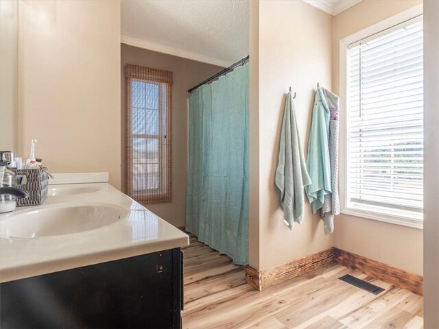 14199 County Road 191, Savannah, MO 64485 - bathroom with a sink, a textured ceiling, visible vents, and wood finished floors