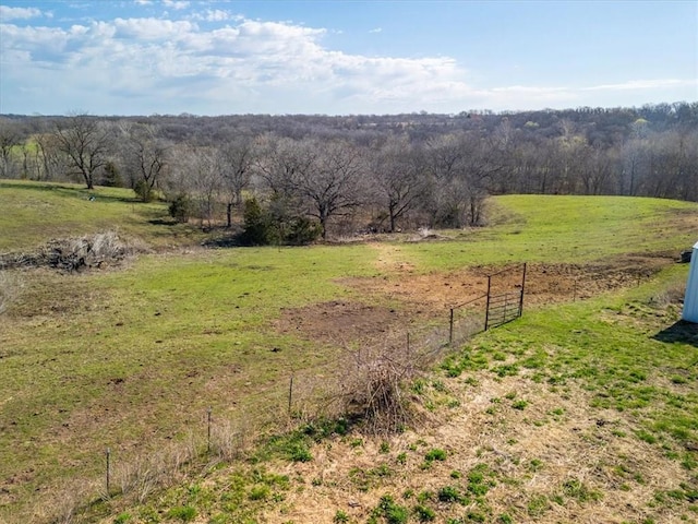 14199 County Road 191, Savannah, MO 64485 - view of yard with a wooded view, fence, and a rural view