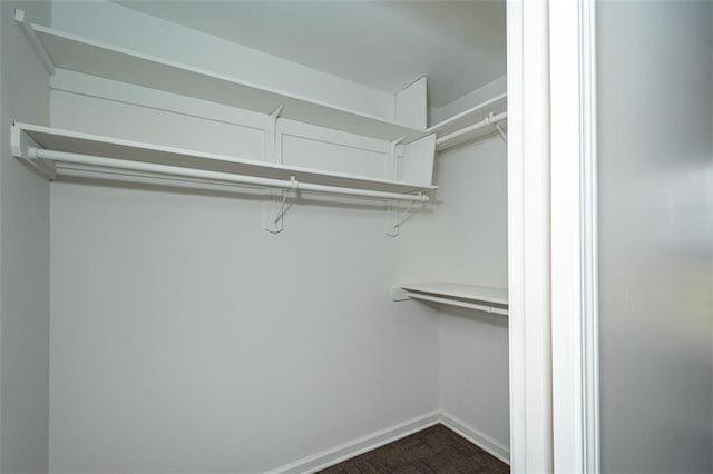 spacious closet with dark wood-type flooring
