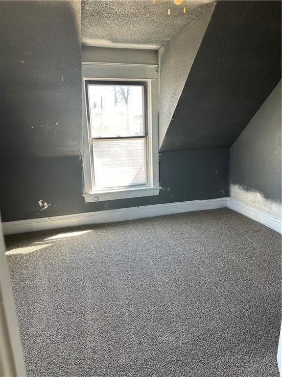 236 N Liberty St, Troy, KS 66087 - bonus room with baseboards, a textured ceiling, vaulted ceiling, and carpet