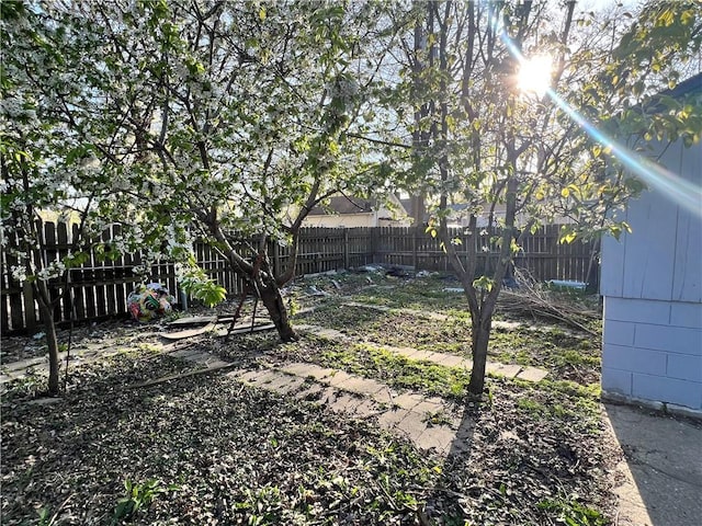 view of yard with a fenced backyard