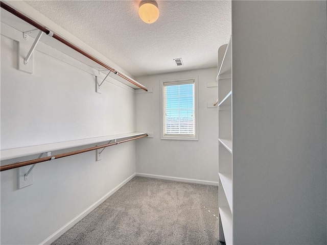 walk in closet featuring visible vents and carpet flooring