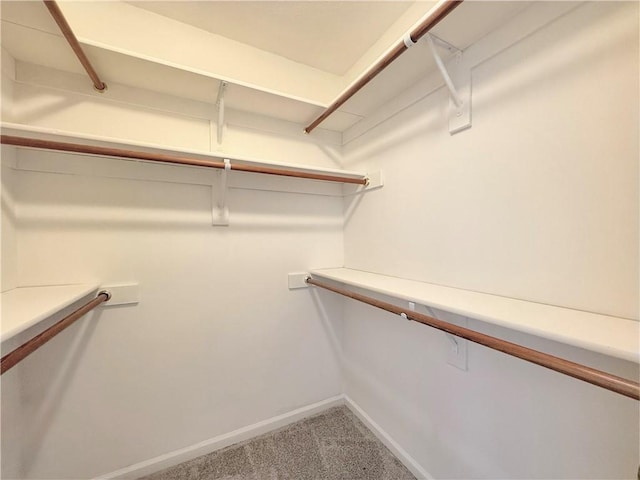 spacious closet with carpet floors