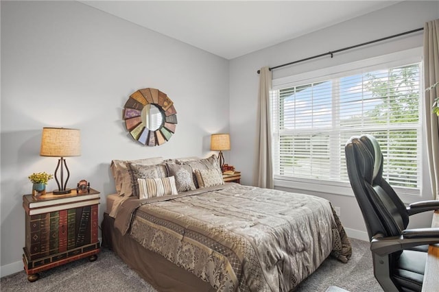 10703 N Fisk Ave, Kansas City, MO 64154 - photo 5