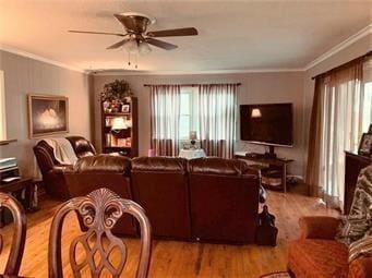living room with ceiling fan, wood finished floors, and ornamental molding