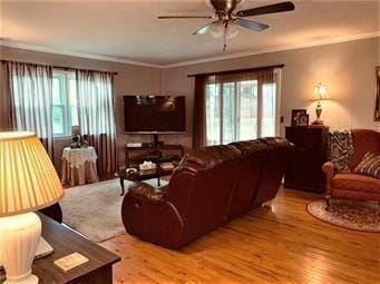 living room with ceiling fan, light wood-style floors, and ornamental molding