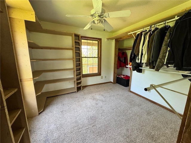 30904 Pressonville Rd, Paola, KS 66071 - photo 8