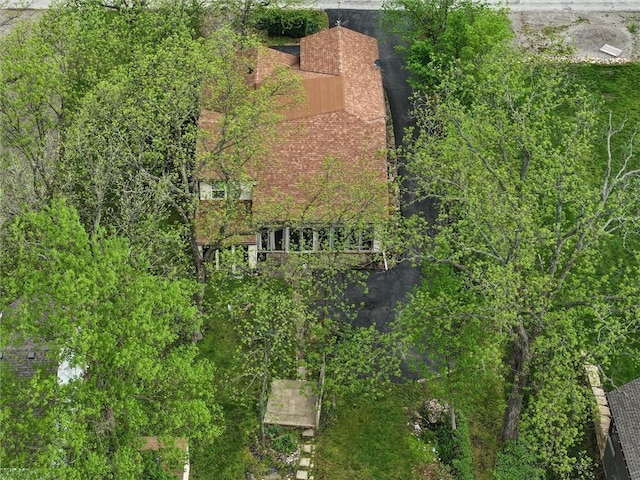 134 Timber Valley Dr, Linn Valley, KS 66040 - bird's eye view