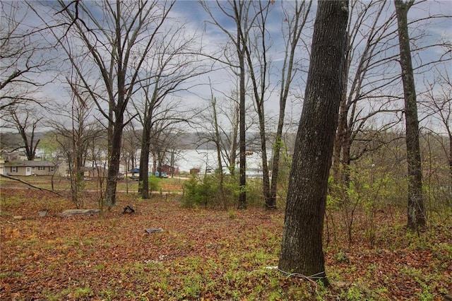3819 Dogwood Dr, Stover, MO 65078 - view of yard